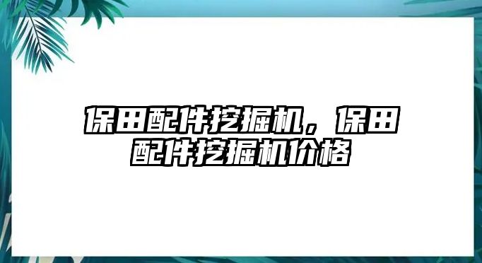 保田配件挖掘機(jī)，保田配件挖掘機(jī)價(jià)格