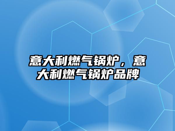 意大利燃氣鍋爐，意大利燃氣鍋爐品牌