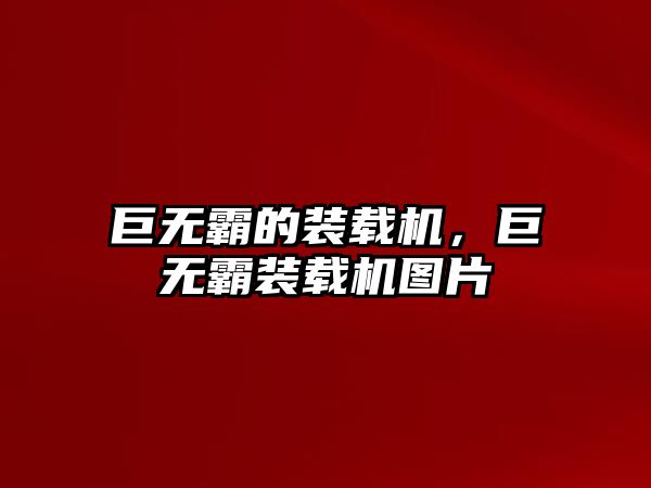 巨無(wú)霸的裝載機(jī)，巨無(wú)霸裝載機(jī)圖片