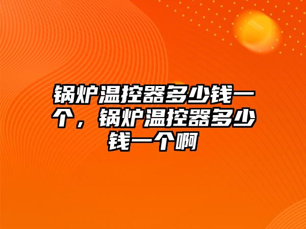 鍋爐溫控器多少錢一個，鍋爐溫控器多少錢一個啊