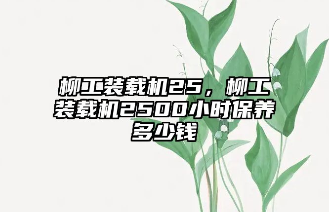 柳工裝載機(jī)25，柳工裝載機(jī)2500小時保養(yǎng)多少錢