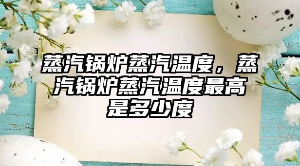 蒸汽鍋爐蒸汽溫度，蒸汽鍋爐蒸汽溫度最高是多少度