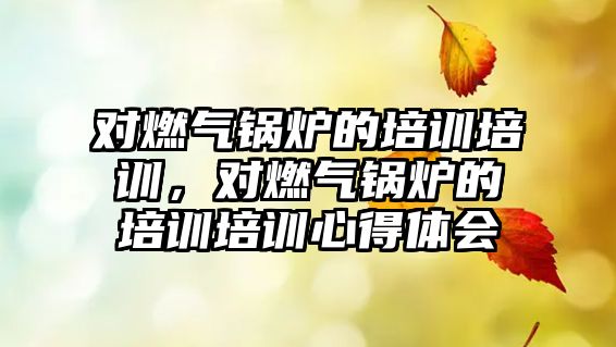 對(duì)燃?xì)忮仩t的培訓(xùn)培訓(xùn)，對(duì)燃?xì)忮仩t的培訓(xùn)培訓(xùn)心得體會(huì)