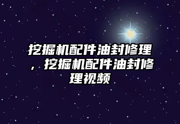 挖掘機(jī)配件油封修理，挖掘機(jī)配件油封修理視頻