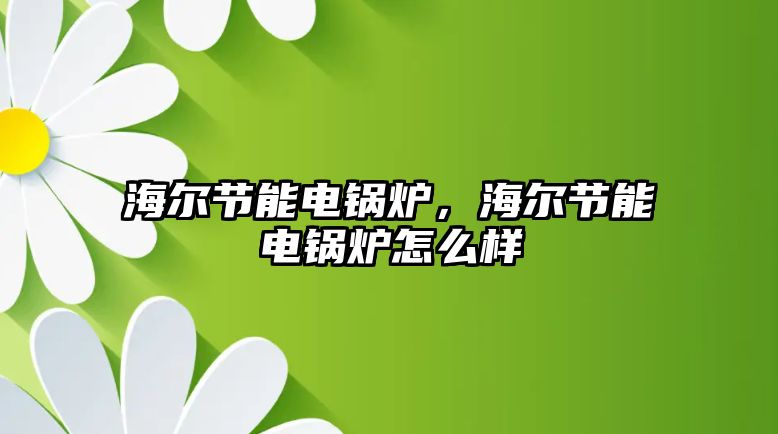 海爾節(jié)能電鍋爐，海爾節(jié)能電鍋爐怎么樣