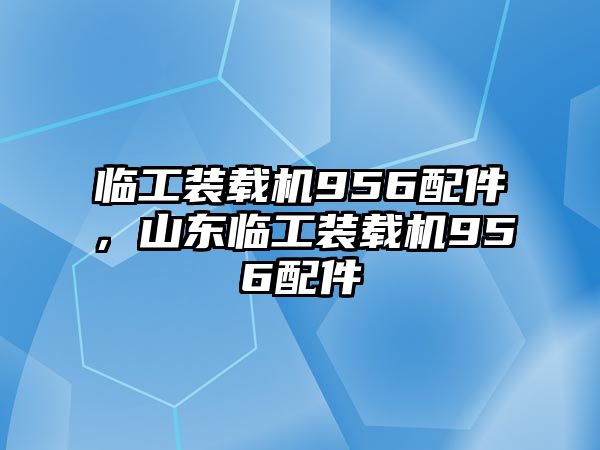 臨工裝載機(jī)956配件，山東臨工裝載機(jī)956配件