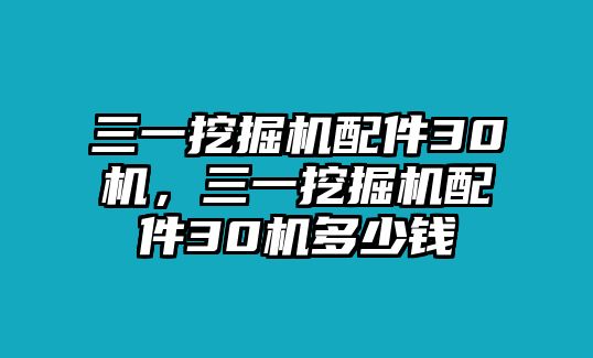 三一挖掘機(jī)配件30機(jī)，三一挖掘機(jī)配件30機(jī)多少錢(qián)