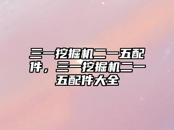 三一挖掘機(jī)二一五配件，三一挖掘機(jī)二一五配件大全