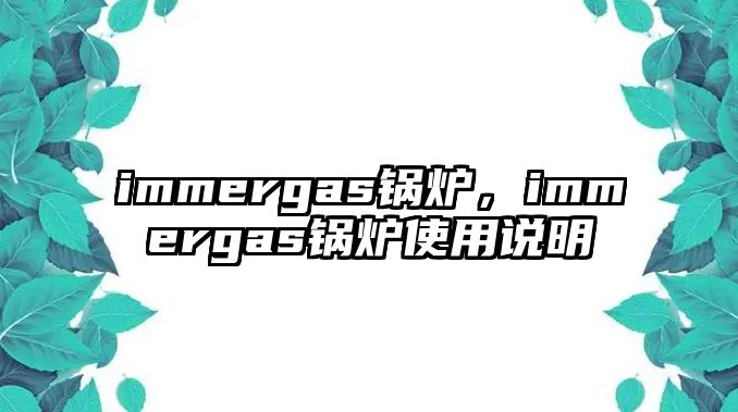 immergas鍋爐，immergas鍋爐使用說明