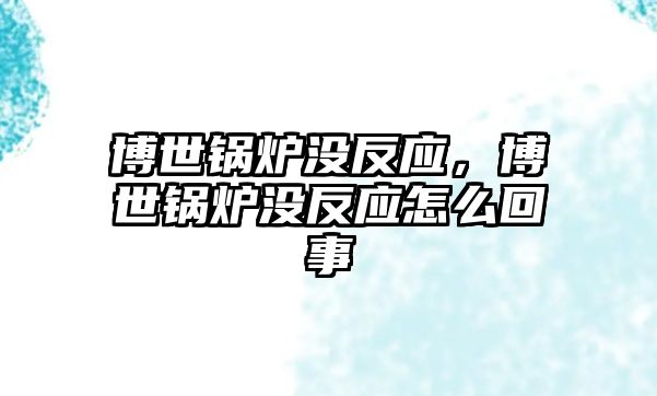 博世鍋爐沒(méi)反應(yīng)，博世鍋爐沒(méi)反應(yīng)怎么回事