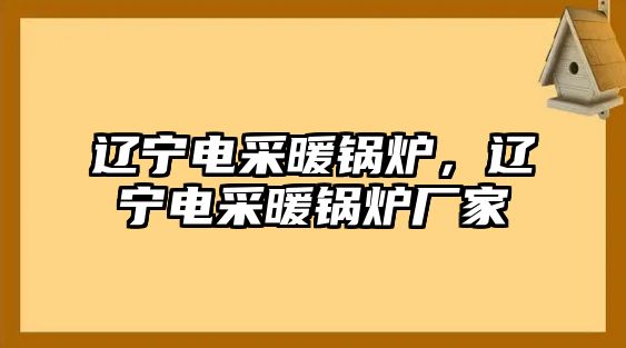 遼寧電采暖鍋爐，遼寧電采暖鍋爐廠家