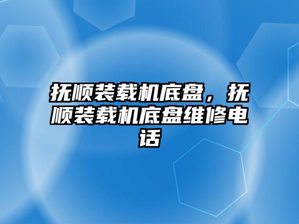 撫順裝載機底盤，撫順裝載機底盤維修電話