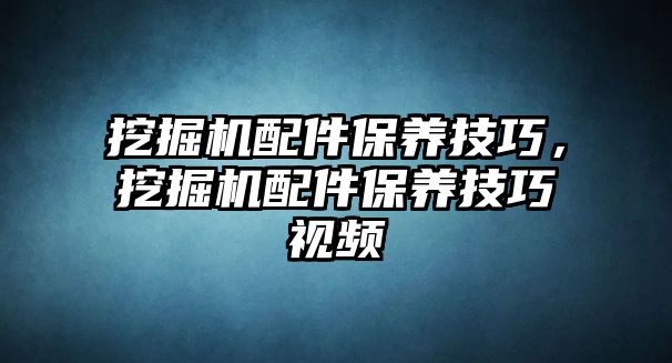 挖掘機配件保養(yǎng)技巧，挖掘機配件保養(yǎng)技巧視頻