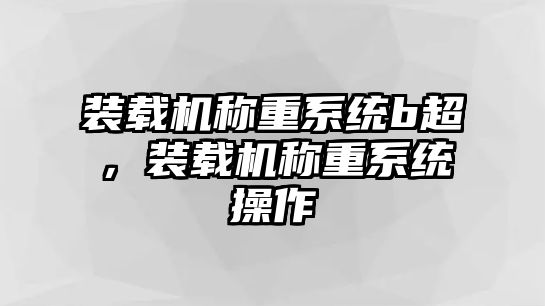 裝載機(jī)稱重系統(tǒng)b超，裝載機(jī)稱重系統(tǒng)操作