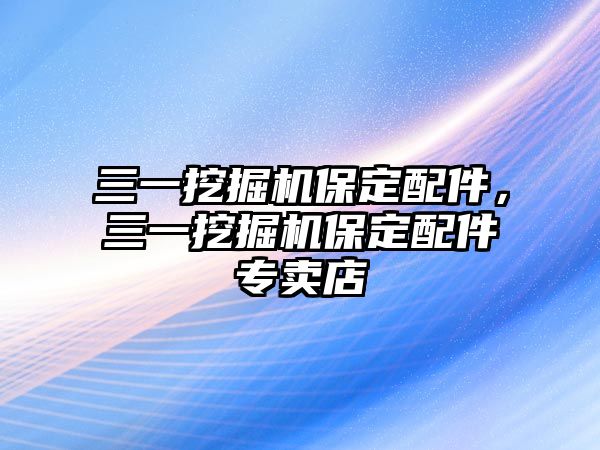 三一挖掘機保定配件，三一挖掘機保定配件專賣店