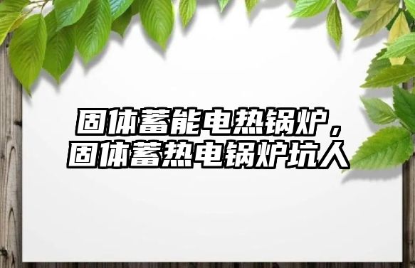 固體蓄能電熱鍋爐，固體蓄熱電鍋爐坑人