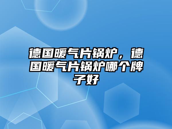 德國(guó)暖氣片鍋爐，德國(guó)暖氣片鍋爐哪個(gè)牌子好