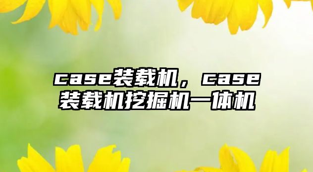 case裝載機，case裝載機挖掘機一體機