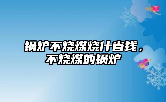 鍋爐不燒煤燒什省錢，不燒煤的鍋爐