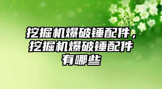 挖掘機爆破錘配件，挖掘機爆破錘配件有哪些