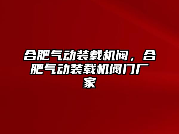 合肥氣動(dòng)裝載機(jī)閥，合肥氣動(dòng)裝載機(jī)閥門廠家