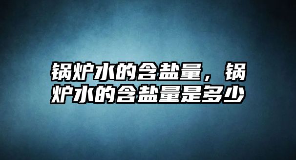 鍋爐水的含鹽量，鍋爐水的含鹽量是多少