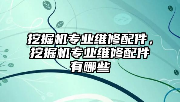 挖掘機專業(yè)維修配件，挖掘機專業(yè)維修配件有哪些