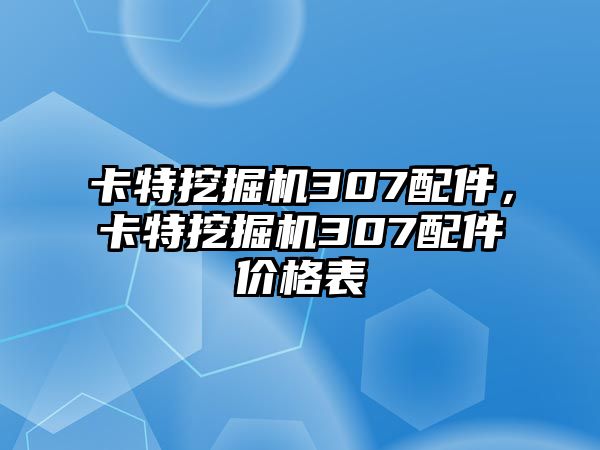 卡特挖掘機307配件，卡特挖掘機307配件價格表