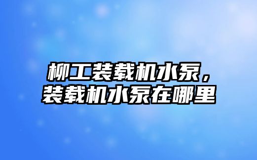 柳工裝載機水泵，裝載機水泵在哪里