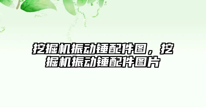 挖掘機振動錘配件圖，挖掘機振動錘配件圖片