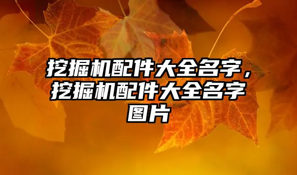 挖掘機配件大全名字，挖掘機配件大全名字圖片