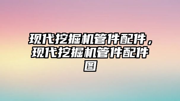 現(xiàn)代挖掘機(jī)管件配件，現(xiàn)代挖掘機(jī)管件配件圖