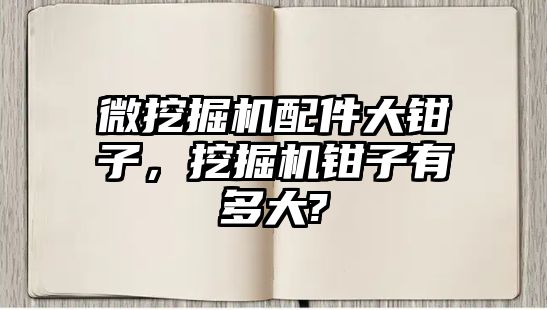 微挖掘機配件大鉗子，挖掘機鉗子有多大?