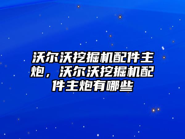 沃爾沃挖掘機(jī)配件主炮，沃爾沃挖掘機(jī)配件主炮有哪些