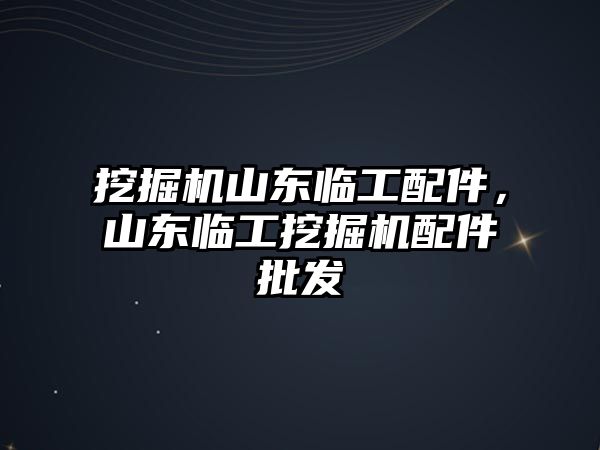 挖掘機山東臨工配件，山東臨工挖掘機配件批發(fā)