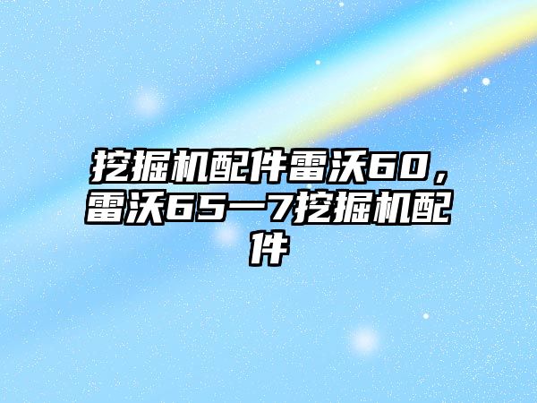 挖掘機(jī)配件雷沃60，雷沃65一7挖掘機(jī)配件