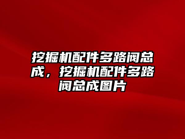 挖掘機(jī)配件多路閥總成，挖掘機(jī)配件多路閥總成圖片