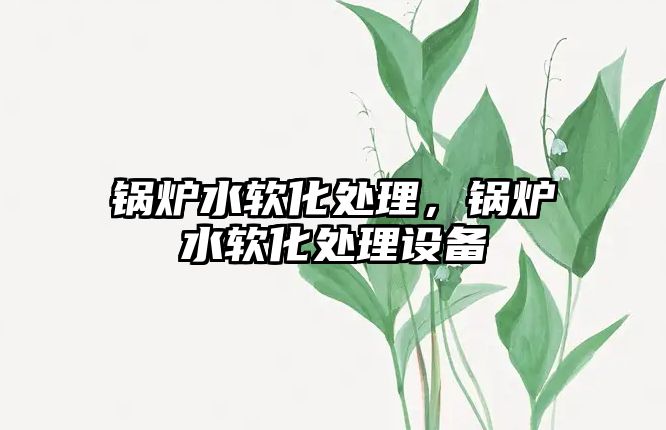 鍋爐水軟化處理，鍋爐水軟化處理設(shè)備