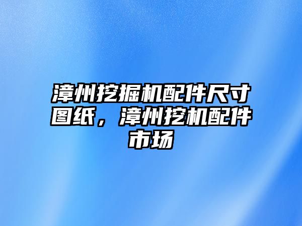 漳州挖掘機配件尺寸圖紙，漳州挖機配件市場