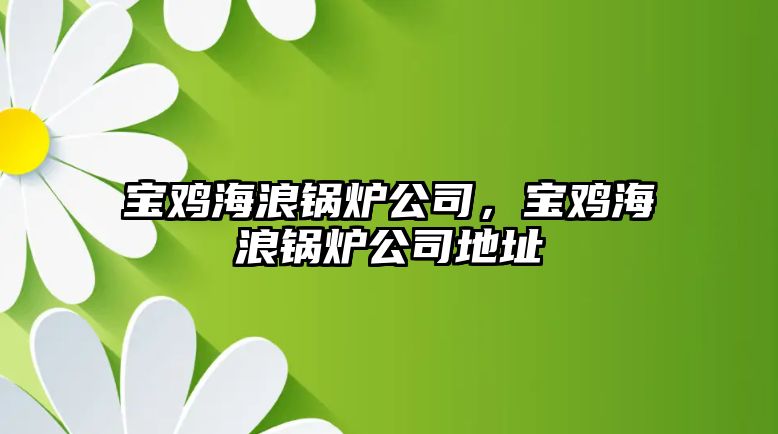 寶雞海浪鍋爐公司，寶雞海浪鍋爐公司地址