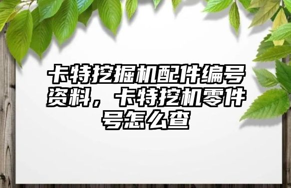 卡特挖掘機(jī)配件編號資料，卡特挖機(jī)零件號怎么查