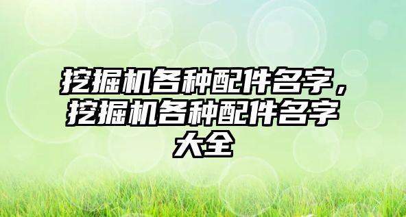 挖掘機各種配件名字，挖掘機各種配件名字大全