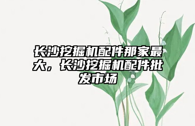 長沙挖掘機配件那家最大，長沙挖掘機配件批發(fā)市場