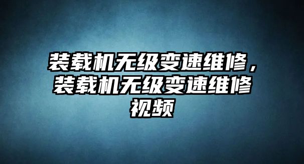 裝載機無級變速維修，裝載機無級變速維修視頻