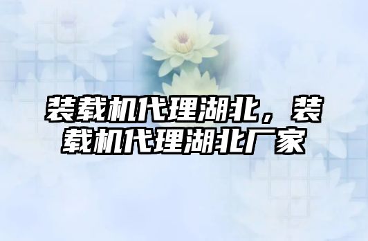 裝載機(jī)代理湖北，裝載機(jī)代理湖北廠家