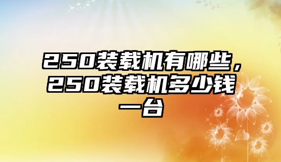 250裝載機有哪些，250裝載機多少錢一臺