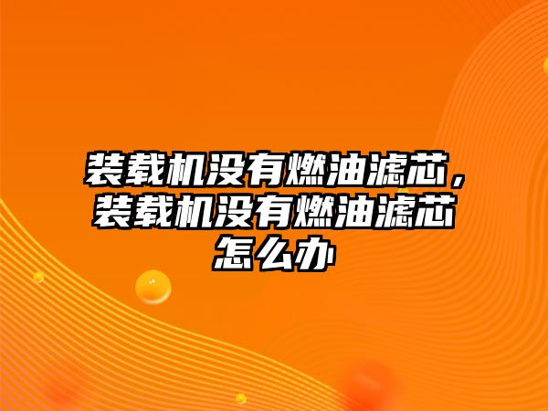 裝載機沒有燃油濾芯，裝載機沒有燃油濾芯怎么辦