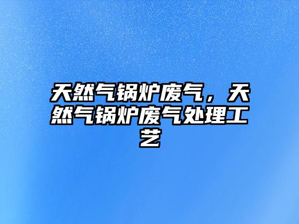 天然氣鍋爐廢氣，天然氣鍋爐廢氣處理工藝