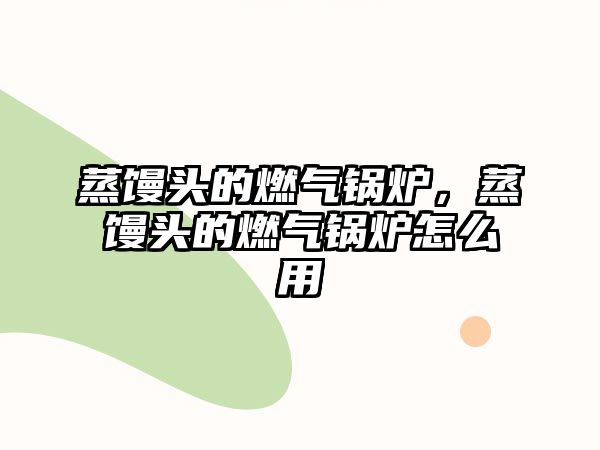 蒸饅頭的燃?xì)忮仩t，蒸饅頭的燃?xì)忮仩t怎么用