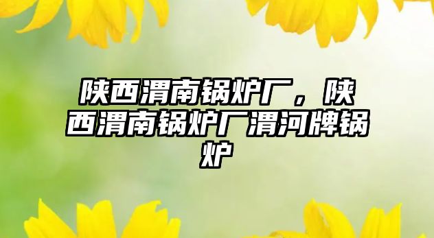 陜西渭南鍋爐廠，陜西渭南鍋爐廠渭河牌鍋爐